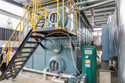 2T導(dǎo)熱油鍋爐多少錢(qián)能買(mǎi)到