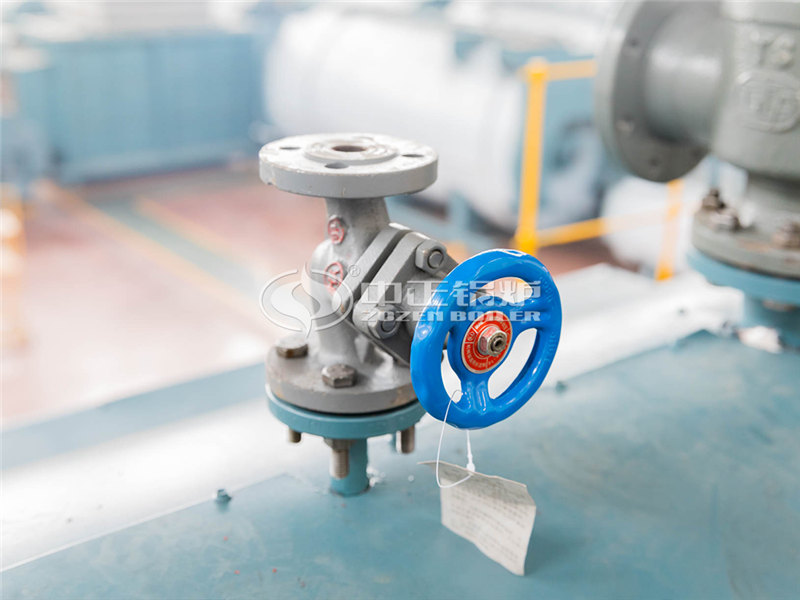 4噸燃生物質(zhì)導熱油爐性價比怎么樣