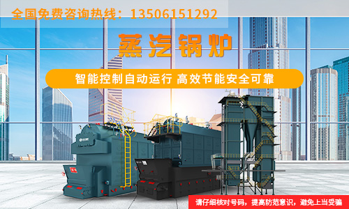 醫(yī)院專用燃?xì)忮仩t