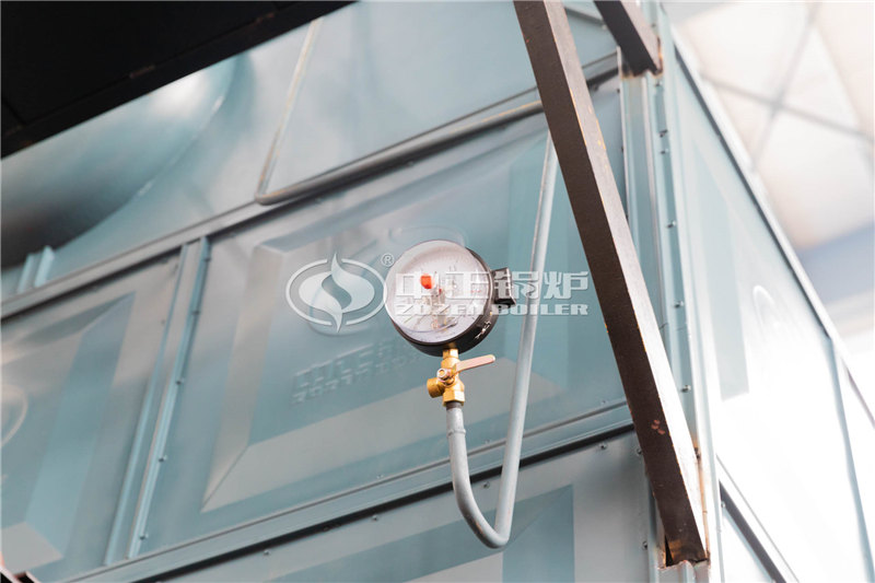 6T燃生物質(zhì)導熱油爐常規(guī)報價